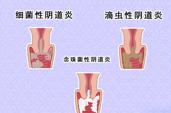 QQ截图20231004095903.jpg